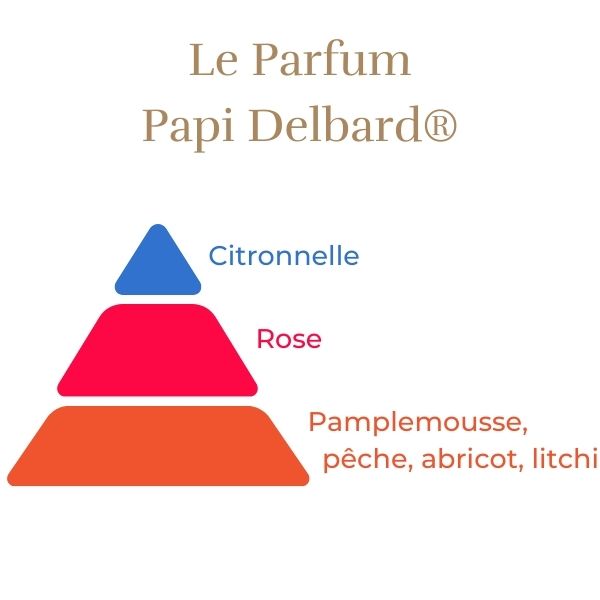 Climbing Rose - Papi Delbard®-7