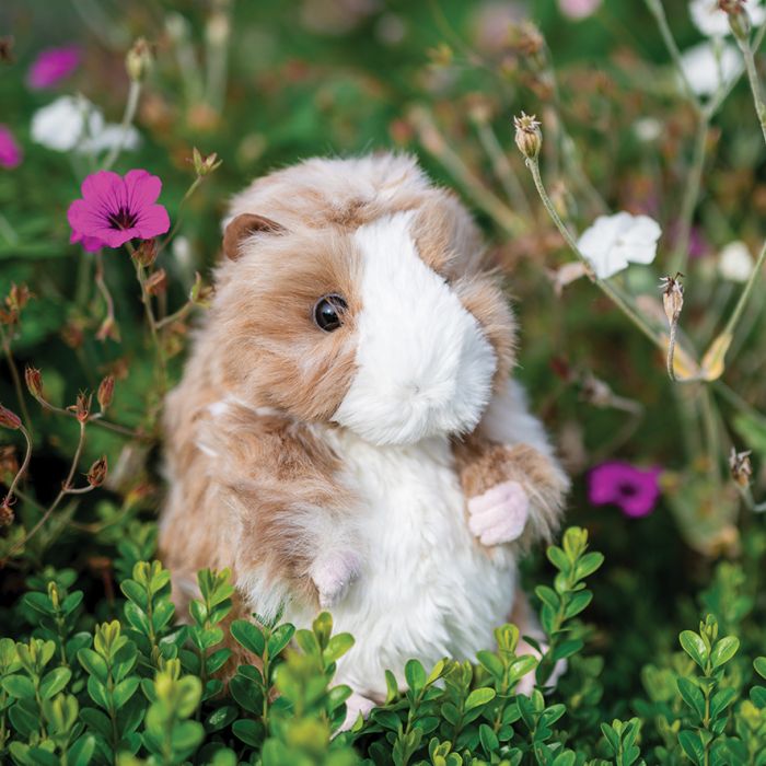 Daphne - Guinea Pig Plush-2