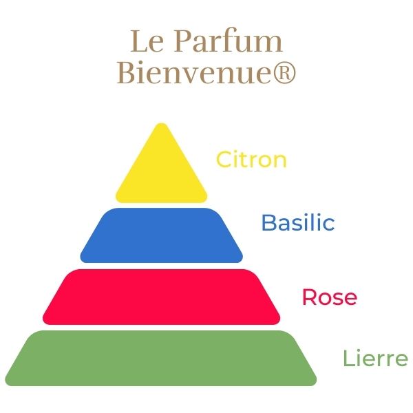 Floribunda Rose - Bienvenue®-8