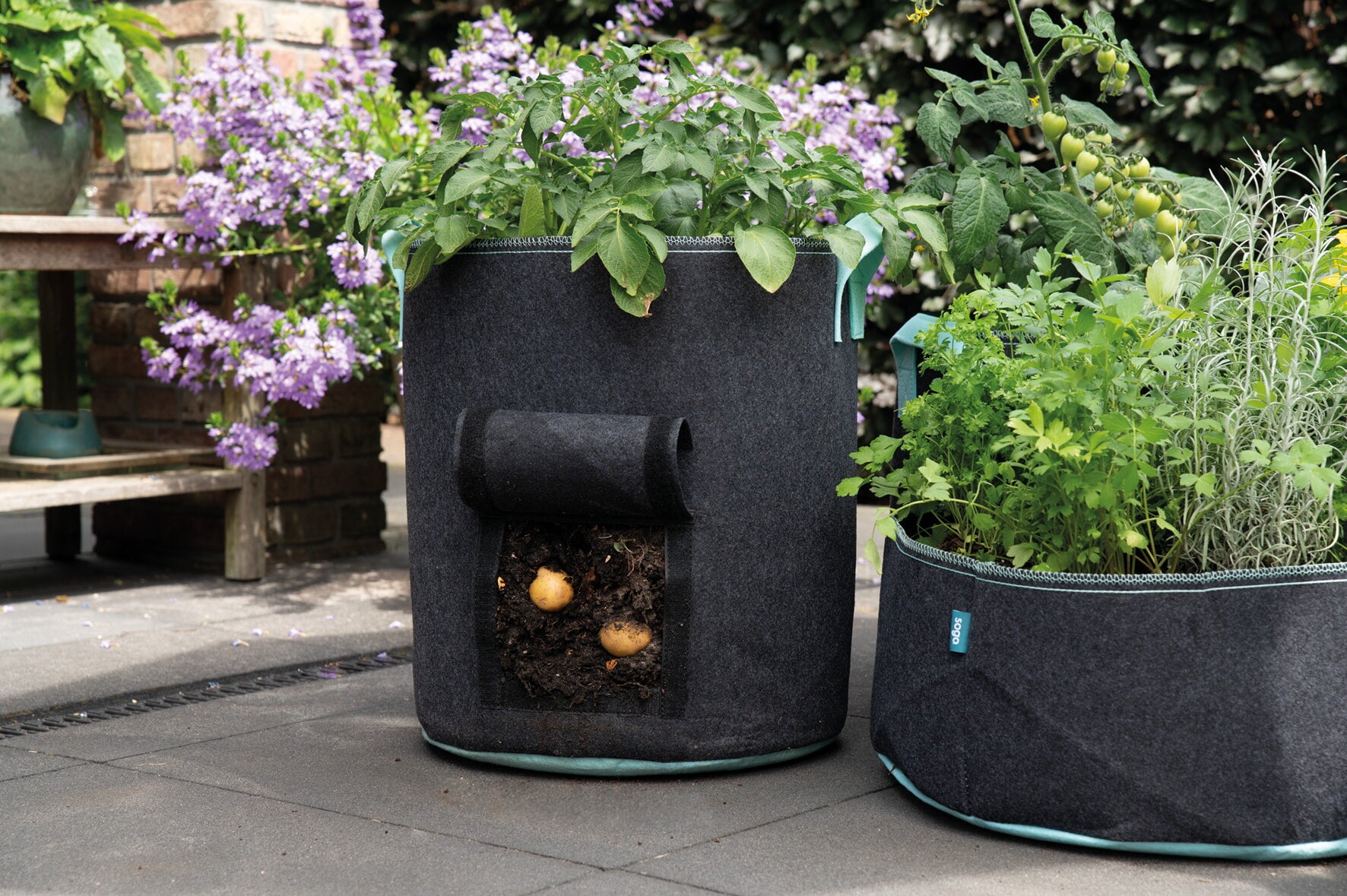 Grow Bag - Potatoes-1