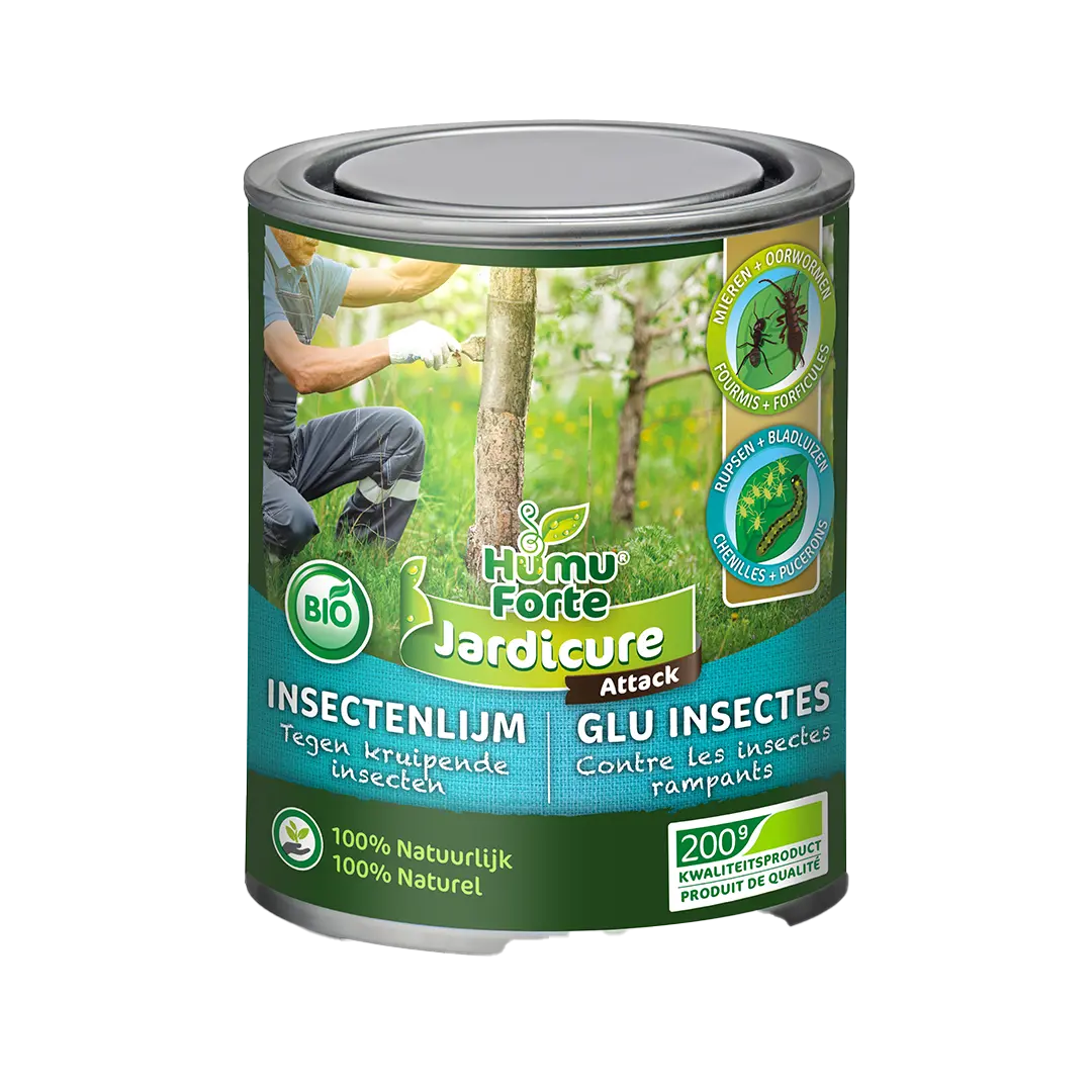 Insect Glue