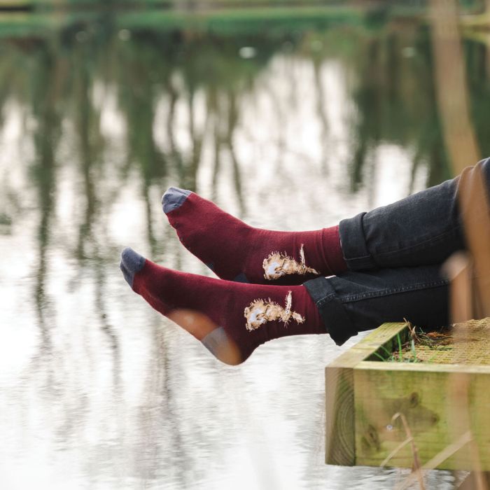 Men's Socks - Hare - The Hare-2