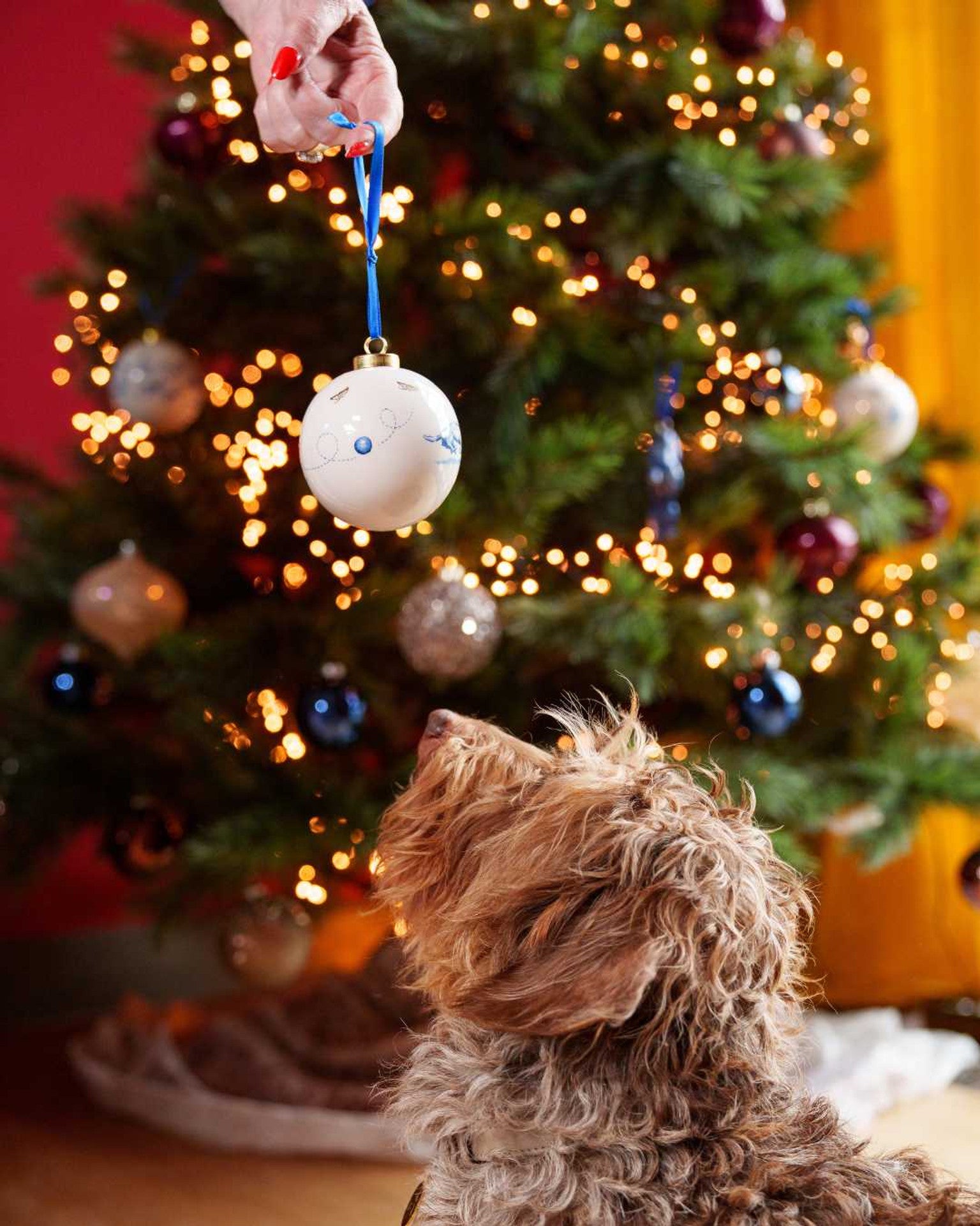 Christmas Bauble - Dachshund Ball Game - 8 cm