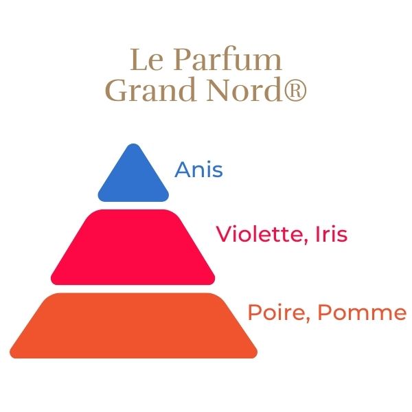 Čajevka Hibridna Ruža - Grand Nord®