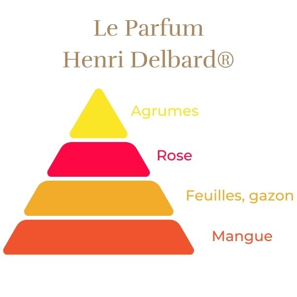 Čajevka Hibridna Ruža - Henri Delbard®