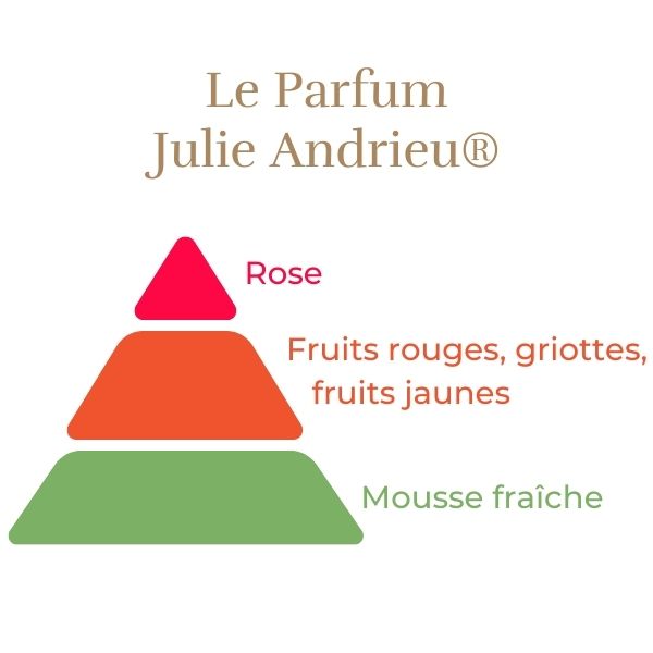 Climbing Rose - Julie Andrieu®