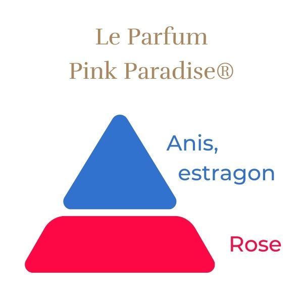 Čajevka Hibridna Ruža - Pink Paradise®