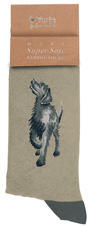 Men's Socks - Labrador - Walkies