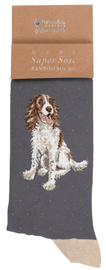 Men's Socks - Spaniel - Willow