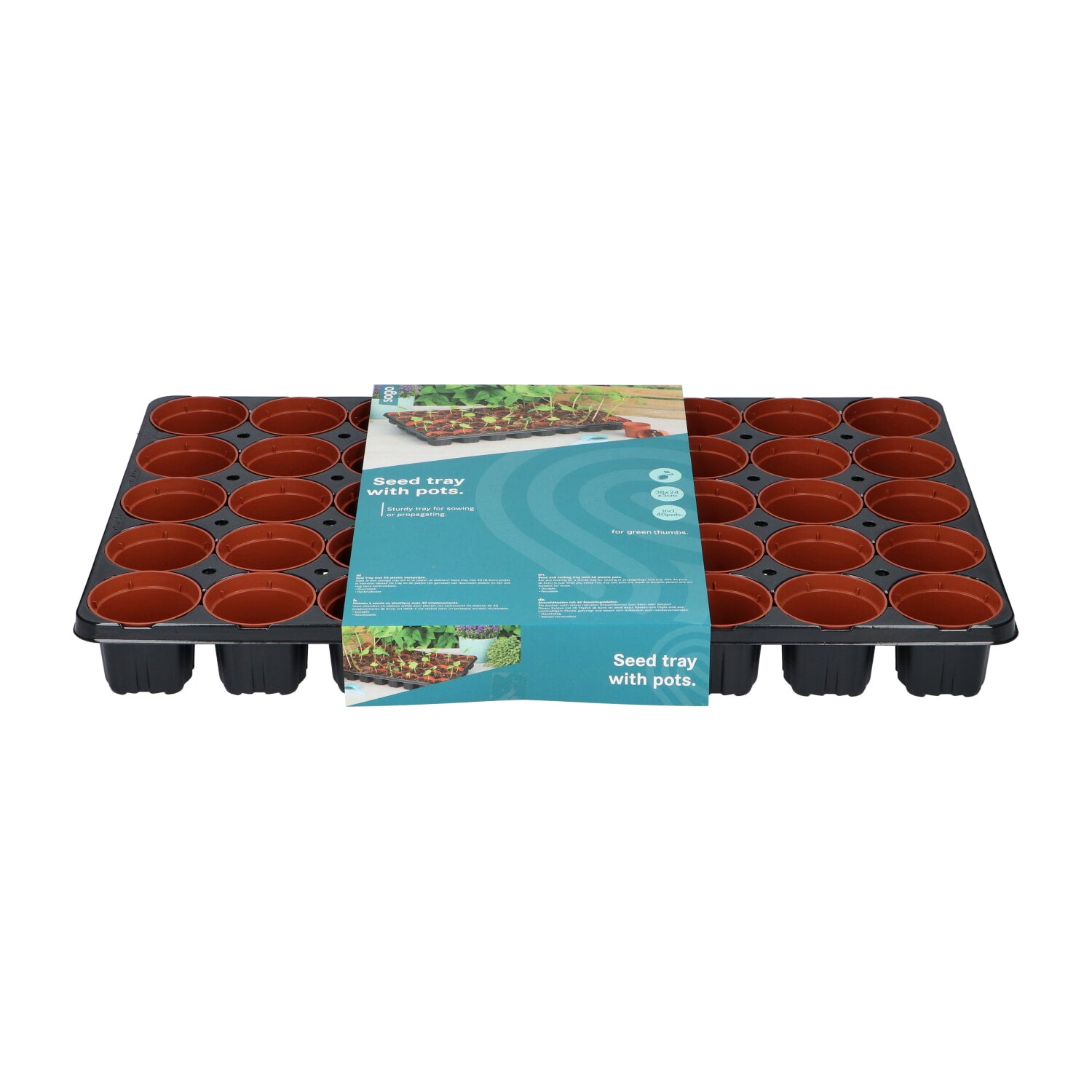 Seed Tray - 40 Pots-3