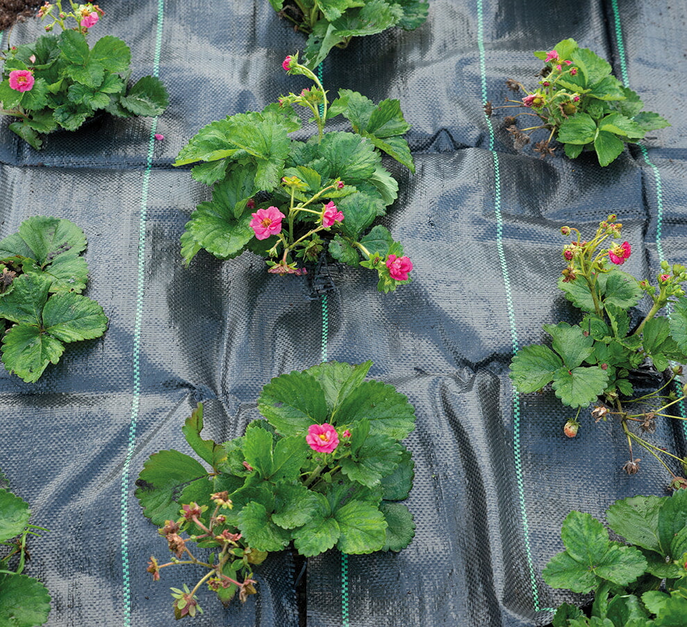 Weed Control Fabric - 2x5m-4