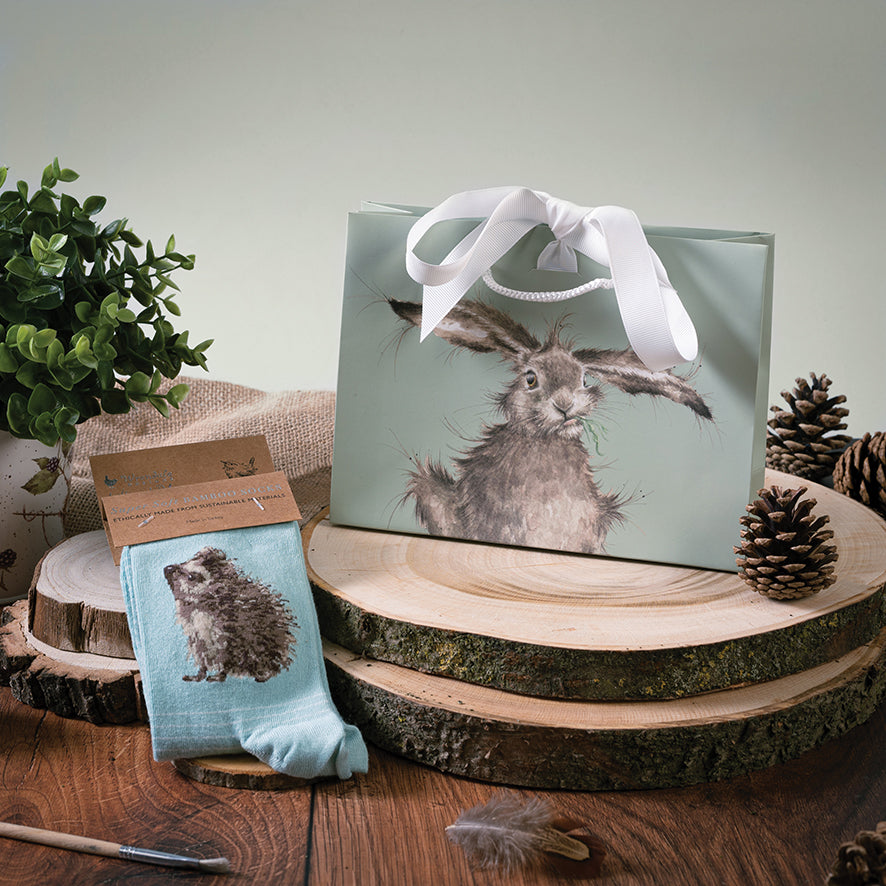 Women's Socks - Hedgehog - Hedgehugs-2