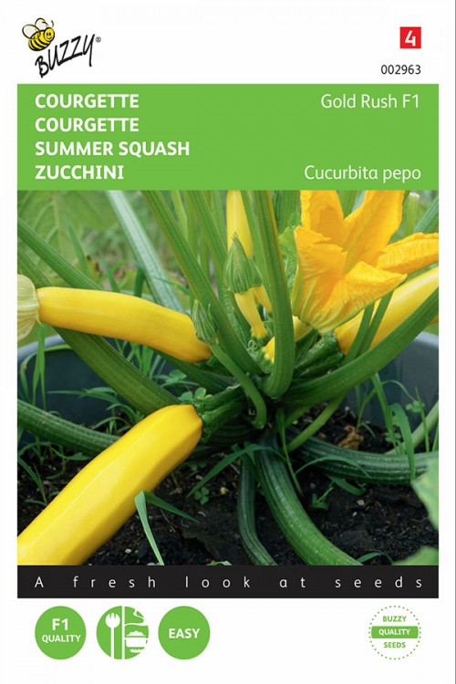 Tikvica - Gold Rush F1 - 2g