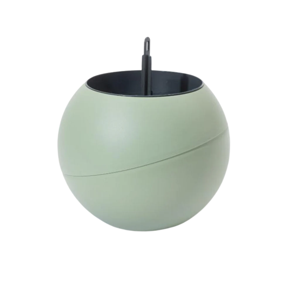 Globee - Olive