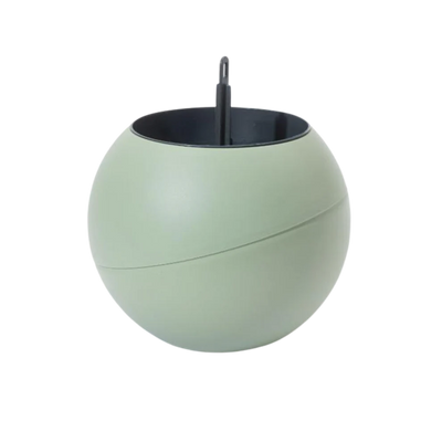 Globee - Olive
