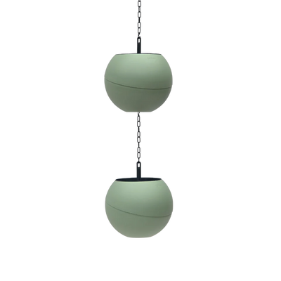Globee - Olive