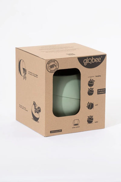 Globee - Olive