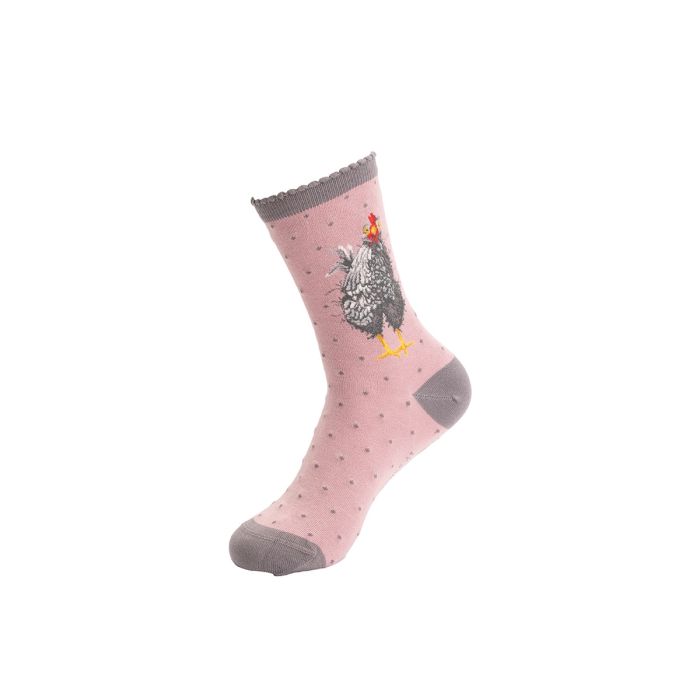 Women's Socks - Chicken - Curious Hen