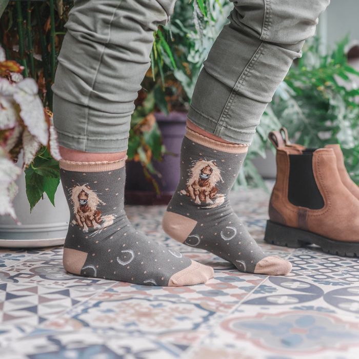 Women's Socks - Horse - Gloria
