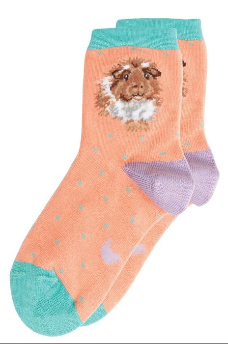 Children's Socks - Guinea pig - Grinny Pig - 27-30