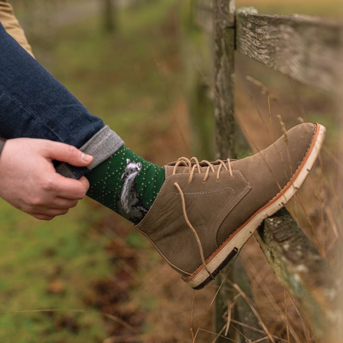 Men's Socks - Badger - The Country Gent