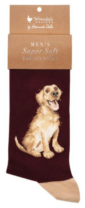 Men's Socks - Labrador - Good as Gold