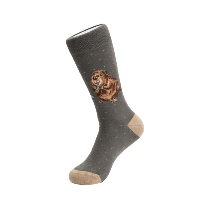 Men's Socks - Beaver - The Arborist
