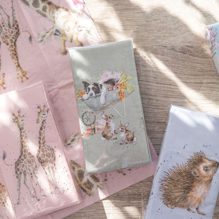 Pocket Tissues - Sleeping on the Job - Border Collie and Rabbit