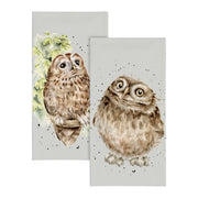 Pocket Tissues - Round Owl - Owl