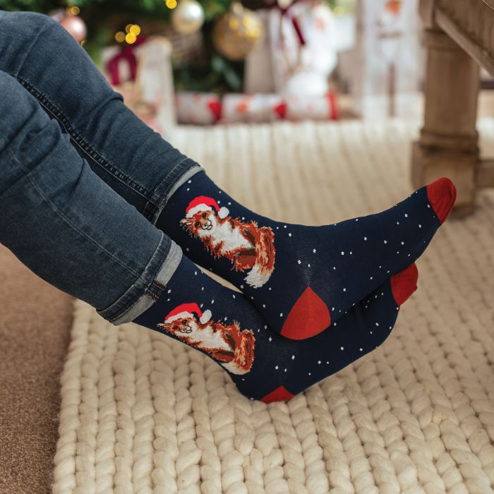 Men's Socks - Fox - Festive Fox