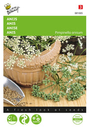 Anise - 3g
