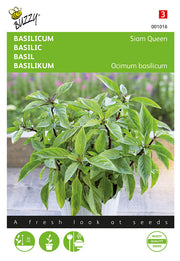 Basil - Siam Queen - 0,2g