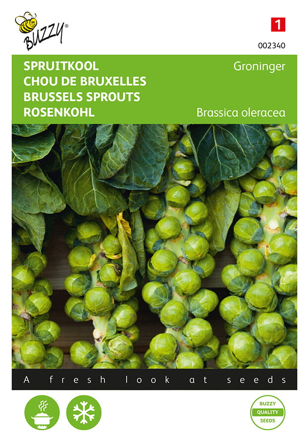 Prokulice - Groninger - 2g