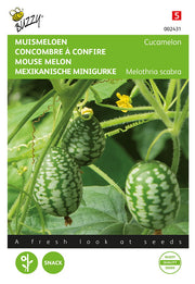 Meksički Mini Krastavac - Cucamelon - 15 Sjemenki