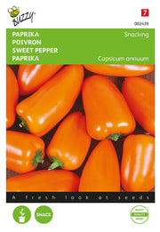Bell Pepper - Snacking - 6 Seeds