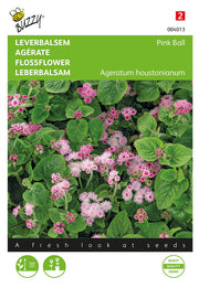 Ageratum - Pink Ball - 0,2g