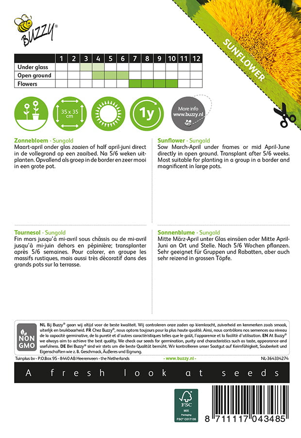 Suncokret - Patuljasti - Sungold - 2g