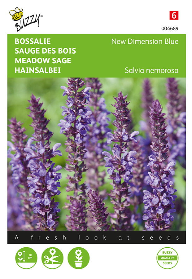 Meadow Sage - New Dimension Blue - 25 sjemenki