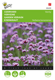 Vrtna Verbena - Taština - 25 Sjemenki