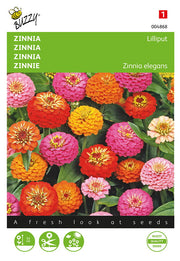 Cinija - Lilliput - 1,5g