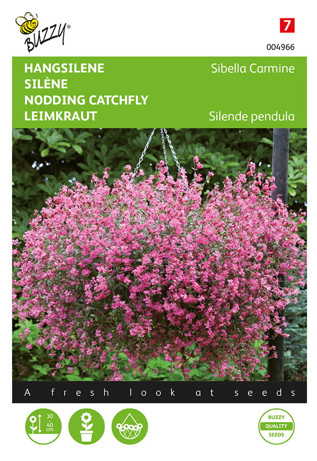 Nodding Catchfly - 25 sjemenki