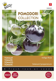 Rajčica - Indigo Rose - 8 sjemenki