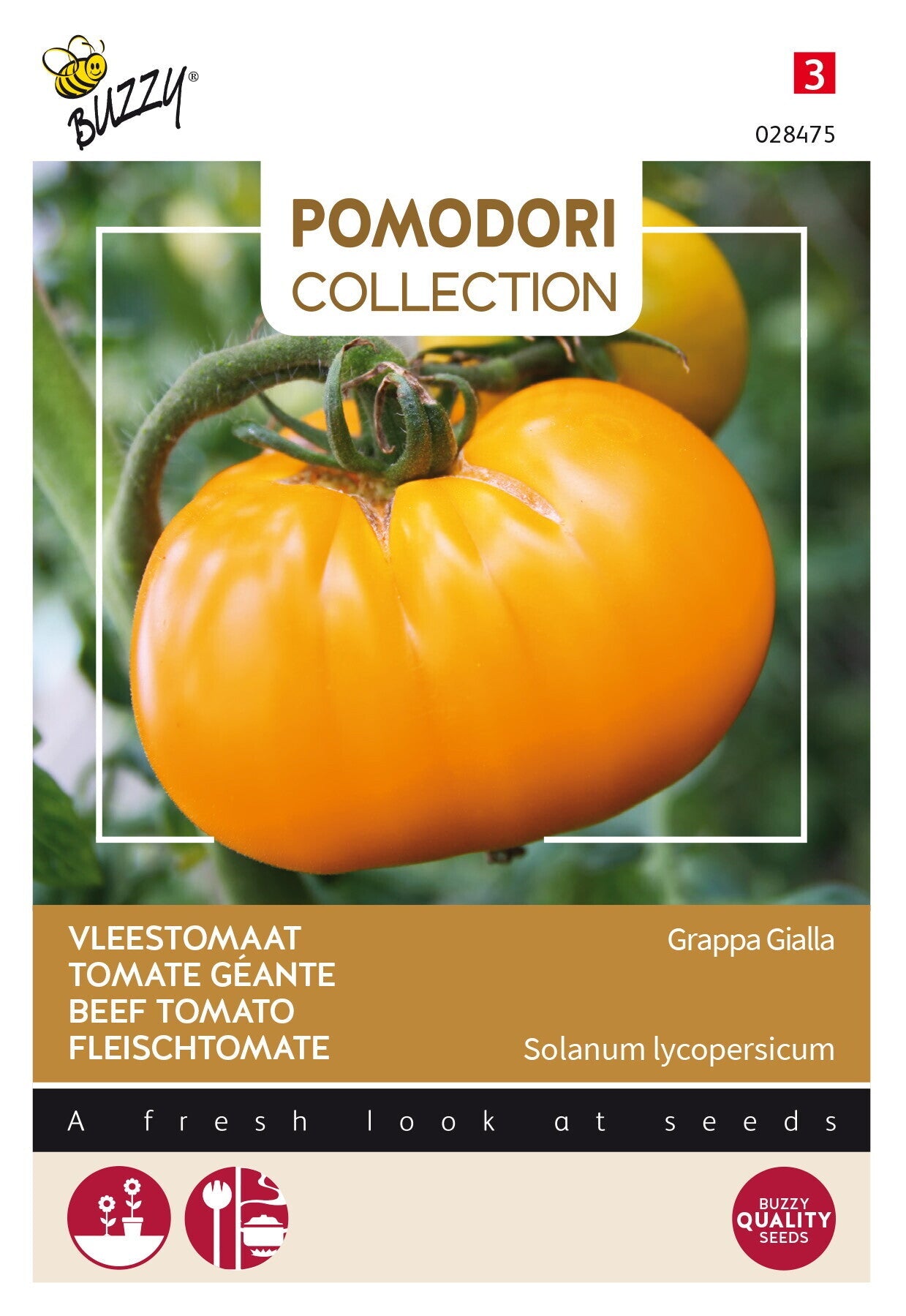 Beef Tomato - Brandywine Yellow - 0,5g