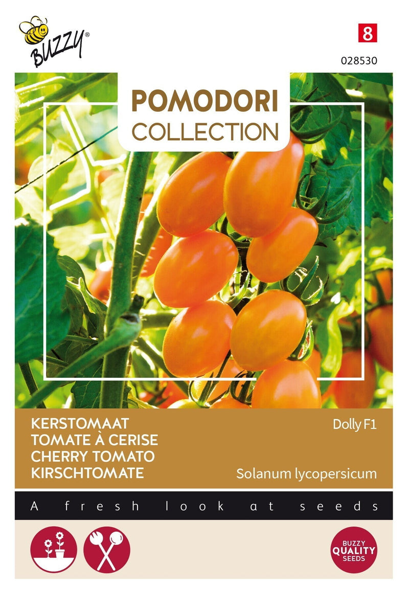 Cherry Tomato - Dolly F1 - 7 sjemenki