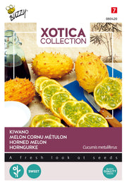 Horned Melon - Kiwano - 10 Seeds