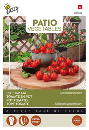 Rajčica - Gourmandise Red - 10 Sjemenki
