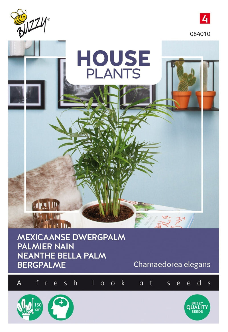 Neanthe Bella Palm - 15 sjemenki
