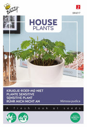 Sensitive Plant - 0,2g