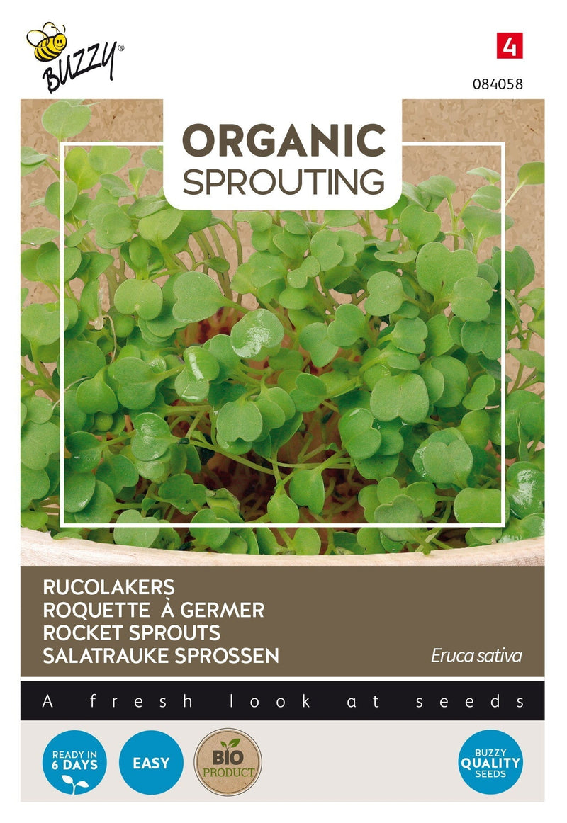 Rocket Sprouts - Organski - 30g