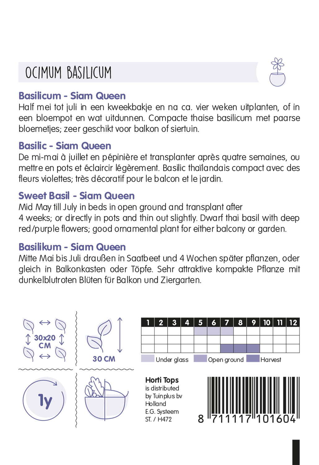 Sweet Basil - Siam Queen - 0,2g